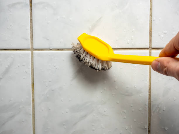 Best Commercial Mold Removal  in Hudson, MI