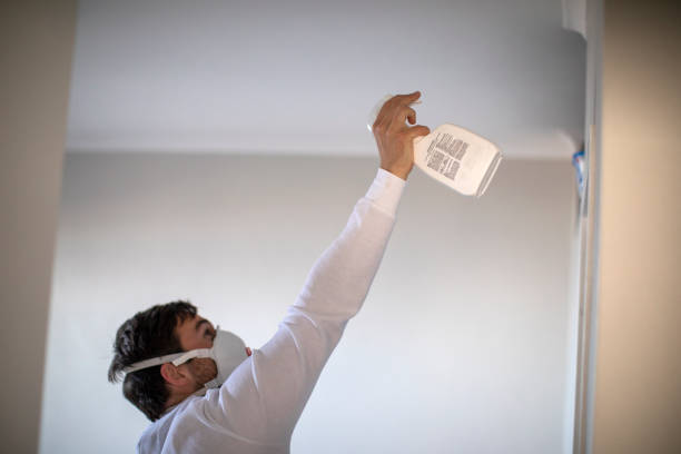 Best Mold Removal Near Me  in Hudson, MI