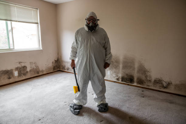 Best Mold Cleaning Services  in Hudson, MI